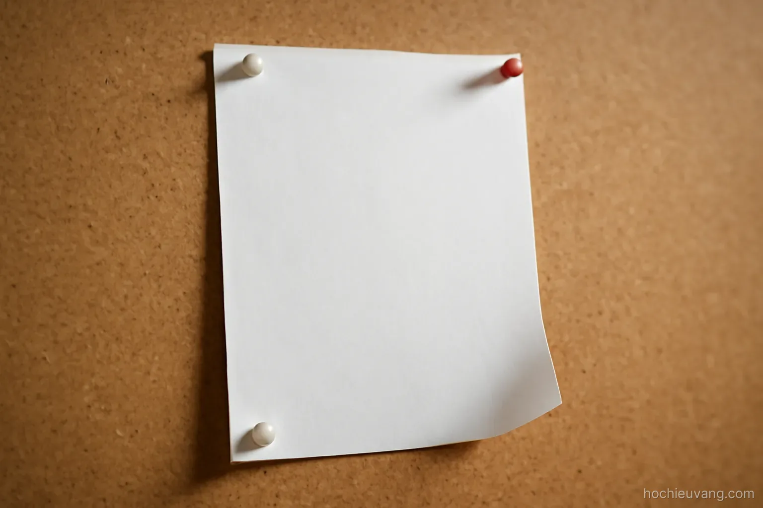 a single printed notice pinned to a board with three drawing pins and one corner curling