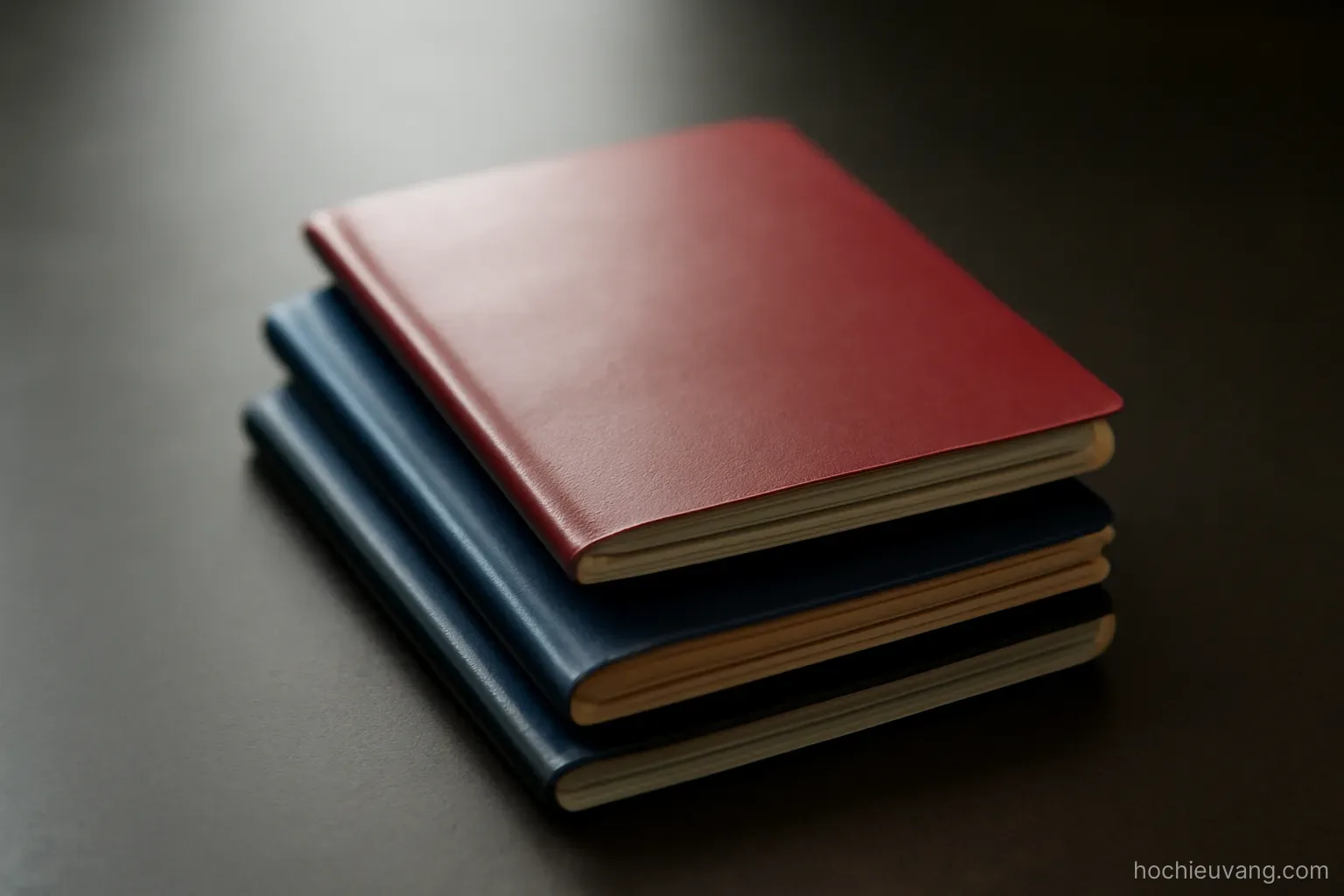 three passport-sized booklets of different thicknesses stacked slightly offset on a dark table
